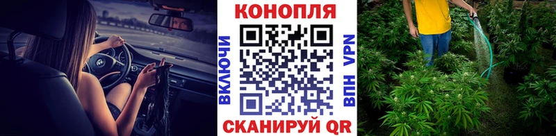 Бошки марихуана семена  Купить  Учалы 